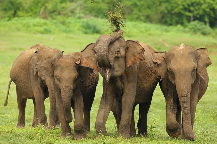Sri Lanka Adventure Trail photo 3